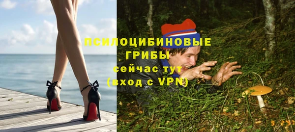 метадон Арсеньев